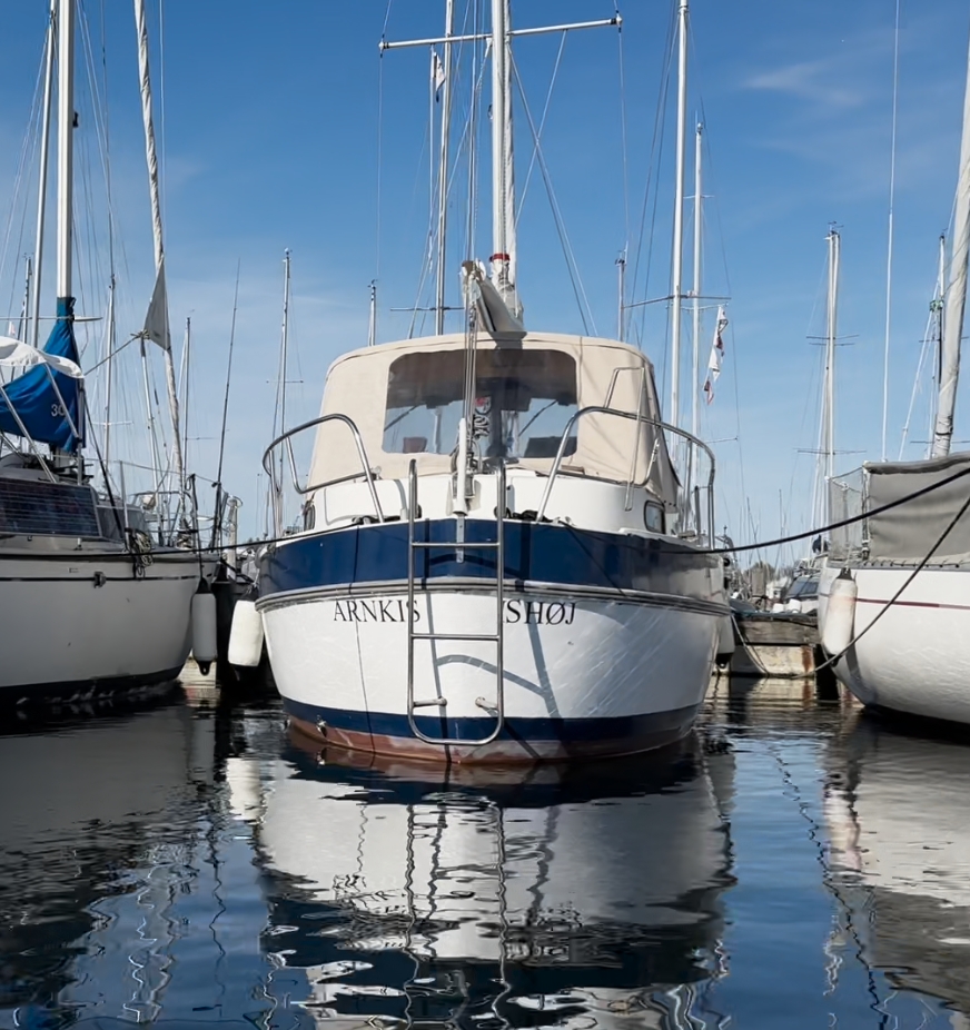 Hækken af Arnkis - jeg er roet forbi.